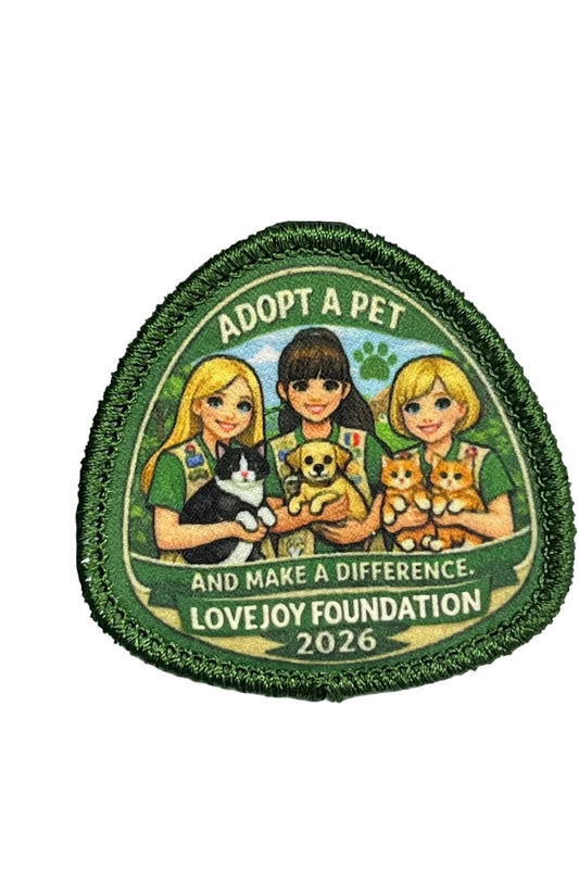 LoveJoy Foundation Custom Patch